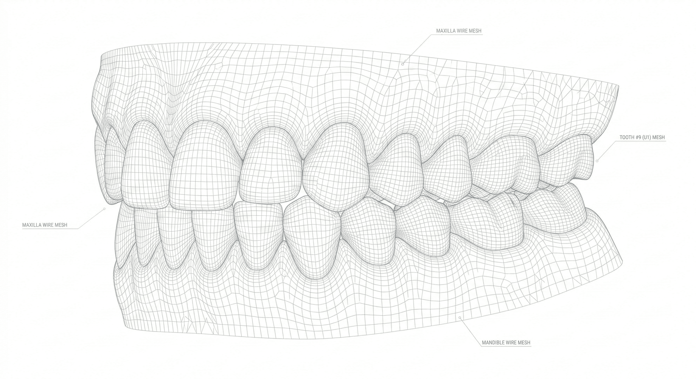 Wireframe Dental